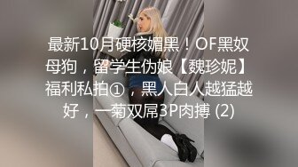 最新10月硬核媚黑！OF黑奴母狗，留学生伪娘【魏珍妮】福利私拍①，黑人白人越猛越好，一菊双屌3P肉搏 (2)