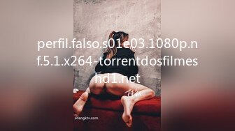 perfil.falso.s01e03.1080p.nf.5.1.x264-torrentdosfilmeshd1.net