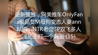 最新强推，网美推车OnlyFans极品女M母狗变态人妻ann私拍，NTR老公3P双飞多人淫乱主打一个刺激 (15)