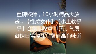 重磅核弹，10小时精品大放送，【性感女仆】【小土软乎乎】合集，终章11天，气质御姐日常淫乱，颜值高有味道