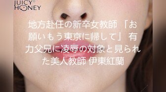 地方赴任の新卒女教師 「お願いもう東京に帰して」 有力父兄に凌辱の対象と見られた美人教師 伊東紅蘭