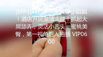 [MP4]STP29963 文静小姐姐！酒店开房激情大战！抓起大屌舔弄，灵活小舌头，蜜桃美臀，第一视角后入抽插 VIP0600