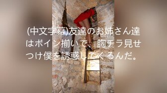 优等生调教 卑猥な冬休み校内妊娠合宿 乃木蛍