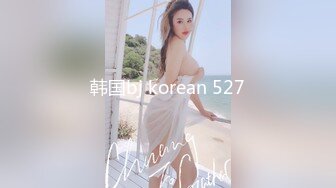 韩国bj korean 527