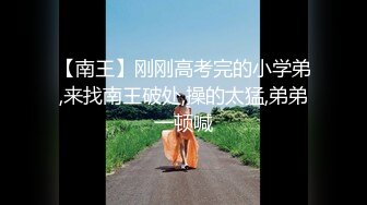 无水印[MP4/134M]11/27 熟女阿姨车震撅着屁屁趴在车座上太刺激小伙操了几下就射VIP1196