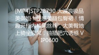 [MP4]STP28790 大波浪极品美御姐！性感美腿包臀裙！情趣开档内裤黑丝袜，大美臀地上骑坐假屌，抽插肥穴诱惑 VIP0600