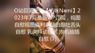 O站巨乳肥臀【奶咪Nami】2023年7月最新VIP订阅，视图自慰视图福利，翻白眼吐舌头自慰 乳夹抖动巨乳 炮机抽插自慰 (7)