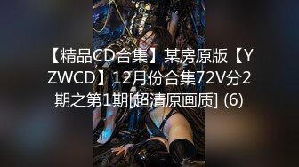 【精品CD合集】某房原版【YZWCD】12月份合集72V分2期之第1期[超清原画质] (6)