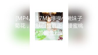 (麻豆傳媒)(mcy-0110)(20221214)黑絲收藏家的秘密交易-夏禹熙